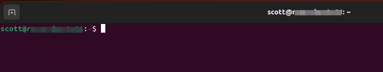 Stock Ubuntu terminal